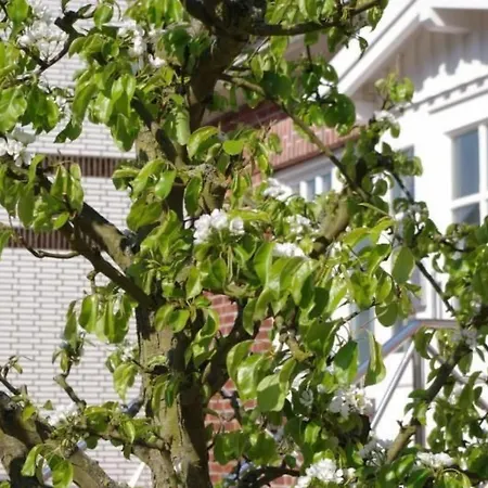 Gaestehaus Kopp Nr- 04 In Cuxhaven-duhnen By Interhome * Duhnen